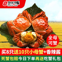 辽梦 盘锦河蟹稻田蟹河蟹全母大闸蟹鲜活生鲜活螃蟹中秋礼盒 母蟹1.8-2.1两/只独立装