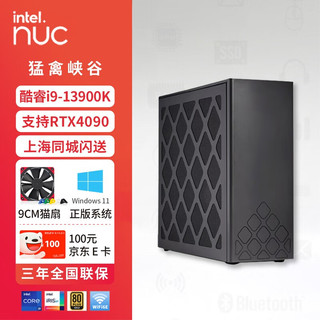 intel 英特尔 NUC13RNGi9 Extreme猛禽峡谷 酷睿i9台式机游戏 工作站主机 官方准系统(无内存硬盘）