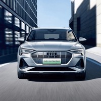 Audi 奥迪 e-tron(进口)