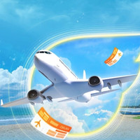 梦幻东方 神秘飞行 8.0机票盲盒