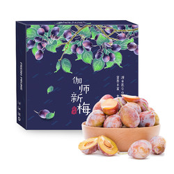 Mr.Seafood 京鲜生 新疆西梅1.5kg 伽师新梅礼盒装 单果15-22g 生鲜时令水果