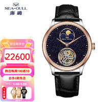 SEA-GULL 海鸥 手表陀飞轮手动机械男表星月交替简约两针时尚国表 金色星辰218.32.8832