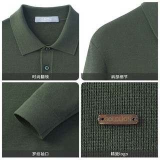 金利来冬男士羊毛混纺纯色翻领套头毛衣 绿色-74 S