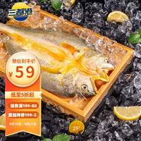 三都港 冷冻醇香黄鱼鲞900g(3条装）黄花鱼 生鲜鱼类 海鲜水产 深海鱼