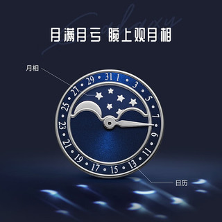 SEA-GULL 海鸥 手表男士机械表简约时尚大三针月相自动机械国表 819.32.1135