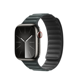 Apple  41 毫米冬青色磁力链式表带 - S/M  原厂表带  表带  手表表带