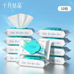 十月结晶 湿厕纸40抽*10包 孕婴可用清洁湿纸巾厕纸湿巾