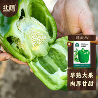 北蔬甜椒种子青椒水果辣椒蔬菜种籽 北蔬绿甜椒种子20粒