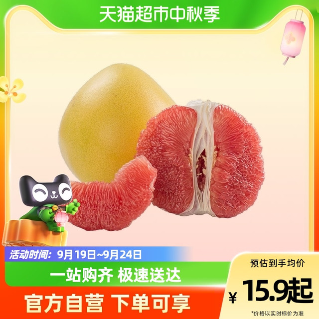 Pemelo 柚子 海南红心蜜柚1粒装皮薄多汁