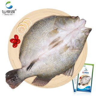 仙泉湖 三去尖吻海鲈鱼 500g*1条 净膛冷冻刺少肉厚 生海鲜食材