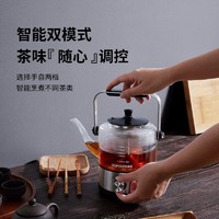 欧美特 OUMETE） 黑茶煮茶器家用全自动煮茶壶蒸汽蒸茶器喷淋式小型办公室保温电茶壶