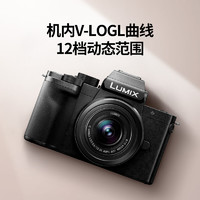 Panasonic 松下 G100 微单/单电无反青春版数码相机 vlog防抖 自拍翻转屏 G100K