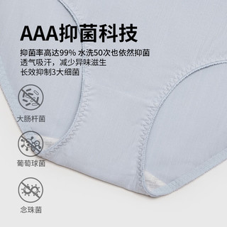 热风秋季女士字母刺绣中腰内裤 14粉红（AAA抑菌-肌理素色） XL