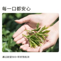 贵 茶 贵州高原抹茶粉20g 欧盟标准冲饮布丁蛋糕国产烘焙原料 3号