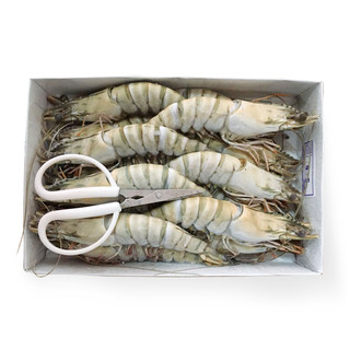 Mr.Seafood 京鲜生 黑虎虾大号高品质海鲜大虾生鲜虾类 15只/盒 1000g