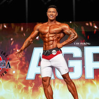 dunkelvolk达克沃男子健体比赛裤沙滩裤宽松速干条纹运动短裤