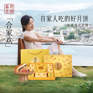 jiahua food 嘉华食品 合家欢 滇式月饼 9饼5味 1.04kg 礼盒装