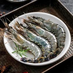 博海惠鲜大号泰国黑虎虾富含虾青素肉质鲜甜q弹海鲜水产海虾大虾500克