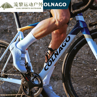 流黎梅花公路车COLNAGO C68碳纤维架 圈碟刹 意大利 经典延续 全部为车架组非整车