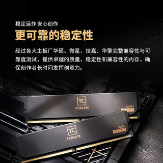 Team 十铨 EXPERT DDR5 6400MHz 台式机内存 马甲条 黑色 32GB 16GBx2 C32