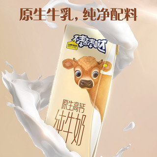 纯牛奶原生高钙儿童奶200ml*10盒3.8g蛋白部分1月产