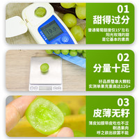 礼盒装 阳光玫瑰葡萄新鲜8斤晴王香印青提无籽水果10