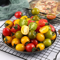 蔬香客 圣女果小番茄三色番茄组合轻食千禧寿光特产 3斤装