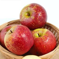 京鲜生新鲜水果_mr.seafood 京鲜生 云南昭通丑苹果 4粒尝鲜装 单果13