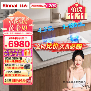 Rinnai 林内 燃气灶 天燃气灶双灶 4.2kW智能定时星厨系列嵌入式JZT-2QLGH（S）天然气