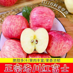 陕西 洛川红富士苹果 9斤装 精选特大果 单果80-90mm  彩箱