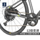  DECATHLON 迪卡侬 RIVERSIDE920公路旅行自行车骑行男轻便变速长途自行车OVB1 碳灰色 M码（1.68-1.82m）　