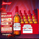 Budweiser 百威 经典醇正啤酒 600ml*12瓶