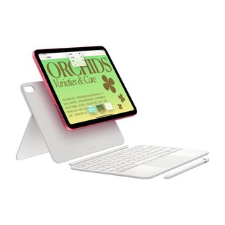 2022Apple/苹果 iPad 10.9英寸第十代平板电脑A14仿生芯片官网苹果 iPad10代平板ipad