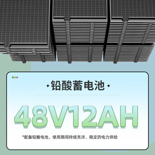 ZUB 五星钻豹 新国标电动车48v12ah铅酸电池40km续航小型电瓶车A15