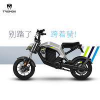 新国标电动车48v20a 成人电瓶自行车 锂电池 女士小型跨骑电车摩托