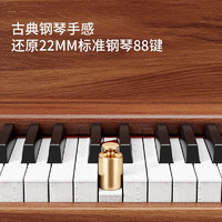 Betsy 贝琪 B351电钢琴88键重锤成人儿童电子钢琴家用练习初学者专业考级钢琴 B351-重力度88键木纹棕