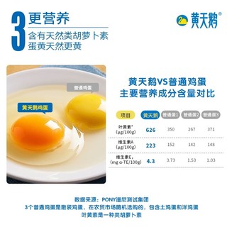88VIP：黄天鹅 可生食鸡蛋30枚净含1.59kg新鲜鸡蛋礼盒装温泉蛋日式溏心蛋