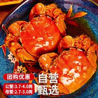 圣堂名钳 大闸蟹 公3.7-4.0两 母2.7-3.0两 6只