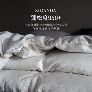 SIDANDA 诗丹娜 匈牙利95白鹅绒被芯銀糸真丝提花羽绒被子春秋被冬被 织银真丝- 220cm*240cm