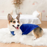 InnoPet 赛路胜 狗狗衣服春秋薄款柯基柴犬腊肠犬秋冬季小型犬秋冬装宠物连帽卫衣