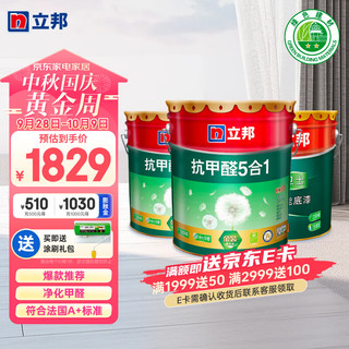 立邦 抗甲醛乳胶漆套装 51L