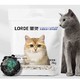 LORDE 里兜 小黑核猫砂 2.5kg