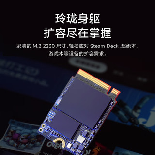 海康威视 1TB SSD固态硬盘 DK4000系列 M.2接口(NVMe协议PCIe 4.0) 2230适配SteamDeck掌机