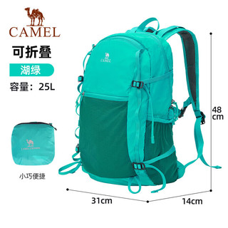 CAMEL 骆驼 户外徒步双肩包 A1W3B5127