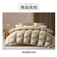 BLISS 百丽丝 [清仓福利]百丽丝家纺 奥格威鹅毛被(冰咖啡色) 220cm×240cm