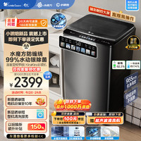 小天鹅 TB100V83PLUS 波轮洗衣机