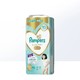 Pampers 帮宝适 一级帮拉拉裤XL46