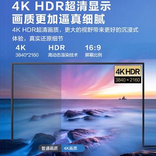 SONY 索尼 FW-43BU30J显示器43英寸电视机 小户型卧室餐厅家用超高清4K HDR 投屏 IPS面板 1200对比度