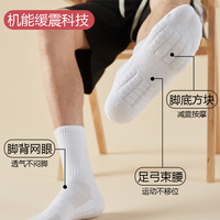 FENTENG 芬腾 袜子男士防臭吸汗运动白色毛巾底中筒长筒袜秋季黑色夏季