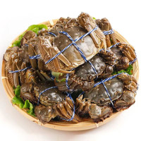 大闸蟹 10只礼盒装 蟹皇 单只4.7-5.5两+（值友下单赠送2只直发10只大闸蟹）